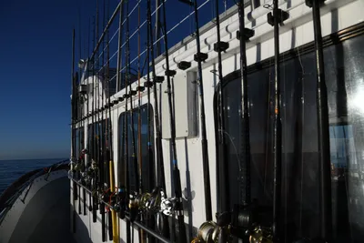 DSC_6586 (Large).JPG